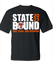 Tiger Baseball Regionals