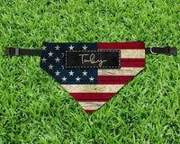 Pet bandana/Tag