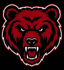 Bears