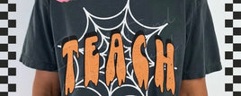 Spiderweb TEACH