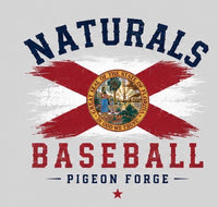 Nats Pigeon Forge