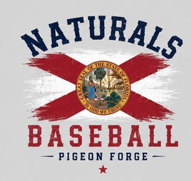 Nats Pigeon Forge