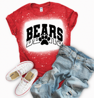 Dixie Bears