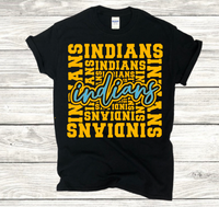 Chiefland Indians