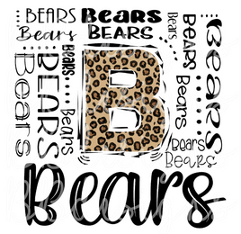 Dixie Bears