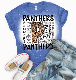 Panthers Cheer