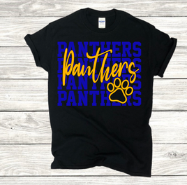 panthers cheer