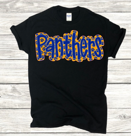Panthers Cheer
