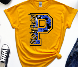 panthers cheer