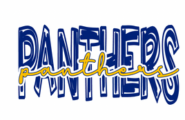 panthers cheer