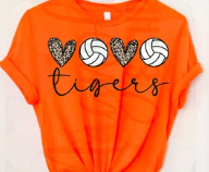 Volleyball