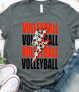 Volleyball