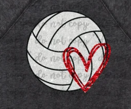 Volleyball