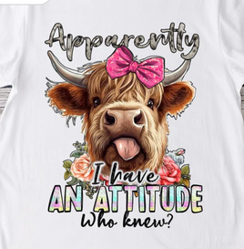 attitude