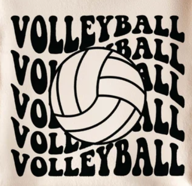 Volleyball