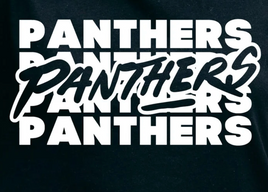 Newberry Panthers