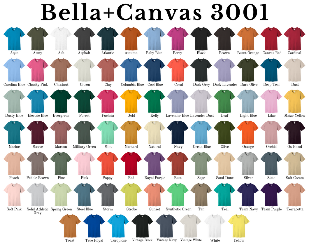 Bella Canvas 3001 T-shirt