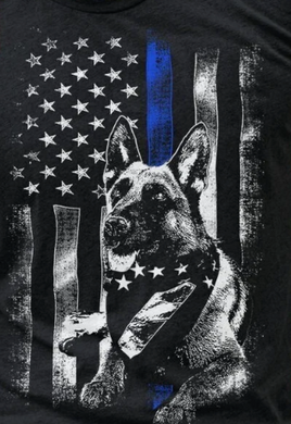 Law enforcement