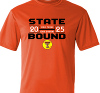 Tiger Softball Regionals