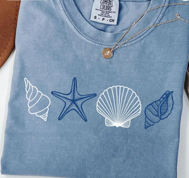 simple seashells