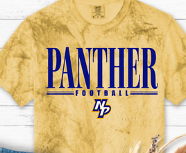 Newberry Panthers (Copy