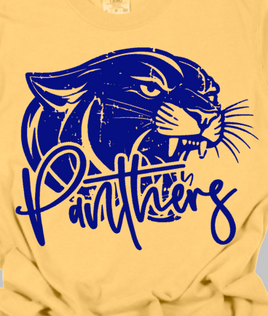 Newberry Panthers