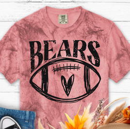 Dixie Bears