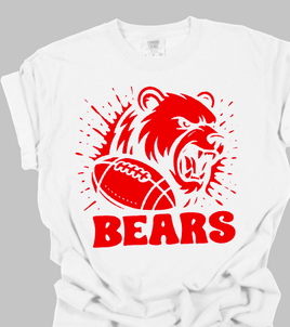 Dixie Bears