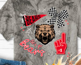 Dixie Bears