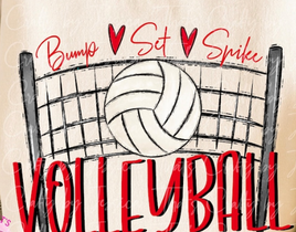 Volleyball