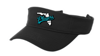 Players Visor