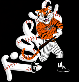 Tig Baseball