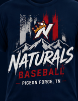 Nats Pigeon Forge