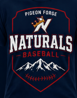 Nats Pigeon Forge
